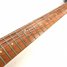 Rickenbacker 330/6 , Fireglo: Neck - Front
