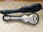 Rickenbacker NS 100/6 LapSteel, Silver: Free image2