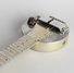 Rickenbacker A22/6 LapSteel, Gold: Free image