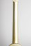 Rickenbacker A22/6 LapSteel, Gold: Neck - Rear