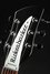Rickenbacker 330/6 , Matte Black: Headstock