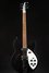 Rickenbacker 330/6 , Matte Black: Full Instrument - Front