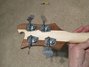 Rickenbacker 4003/4 , Mapleglo: Headstock - Rear
