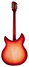 Rickenbacker 360/12 C63, Fireglo: Full Instrument - Rear