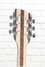 Rickenbacker 360/12 , Natural Walnut: Headstock - Rear