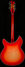 Rickenbacker 360/12 C63, Fireglo: Full Instrument - Rear