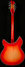 Rickenbacker 360/12 C63, Fireglo: Full Instrument - Rear