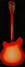 Rickenbacker 360/12 , Fireglo: Full Instrument - Rear