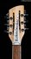 Rickenbacker 620/12 , Mapleglo: Headstock