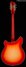 Rickenbacker 360/12 , Fireglo: Full Instrument - Rear
