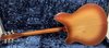 Rickenbacker 360/12 , Autumnglo: Full Instrument - Rear