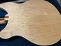 Rickenbacker 360/12 , Mapleglo: Body - Rear