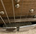 Rickenbacker SD/6 LapSteel, Brown: Free image2