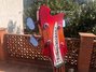 Rickenbacker 4003/4 S, Fireglo: Headstock