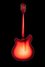 Rickenbacker 360/12 , Fireglo: Full Instrument - Rear