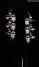 Rickenbacker 360/12 C63, Jetglo: Headstock - Rear