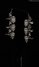 Rickenbacker 660/12 , Jetglo: Headstock - Rear