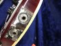 Rickenbacker 360/12 , Fireglo: Close up - Free