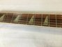 Rickenbacker 360/12 , Fireglo: Neck - Front