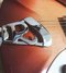 Rickenbacker 330/6 , Fireglo: Close up - Free2