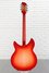Rickenbacker 360/12 C63, Fireglo: Full Instrument - Rear