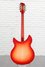 Rickenbacker 360/12 C63, Fireglo: Full Instrument - Rear