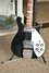 Rickenbacker 625/6 , Black: Free image2