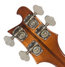 Rickenbacker 4001/4 , Autumnglo: Headstock - Rear