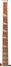 Rickenbacker 4001/4 , Autumnglo: Neck - Front