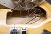 Rickenbacker 381/12 V69, Mapleglo: Free image