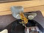 Rickenbacker B Post War/6 LapSteel, Black: Free image