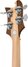 Rickenbacker 4003/4 , Natural Walnut: Headstock - Rear