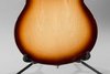 Rickenbacker 330/6 , MonteBrown: Close up - Free