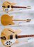 Rickenbacker 360/6 , Mapleglo: Free image