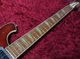 Rickenbacker 620/6 , Fireglo: Neck - Front
