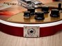 Rickenbacker 660/12 TP, Fireglo: Close up - Free