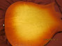 Rickenbacker 456/12 , Fireglo: Body - Rear