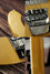 Rickenbacker 4001/4 V63, Mapleglo: Close up - Free