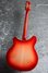 Rickenbacker 360/6 , Fireglo: Full Instrument - Rear