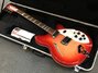 Rickenbacker 360/6 , Fireglo: Full Instrument - Front