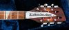 Sep 1989 Rickenbacker 370/12 RM, Fireglo: Headstock