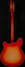 Rickenbacker 360/6 , Fireglo: Full Instrument - Rear