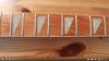 Rickenbacker 360/6 , Ruby: Neck - Front