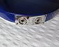 Rickenbacker 620/12 , Blueburst: Close up - Free