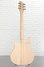 Rickenbacker 620/6 , Mapleglo: Full Instrument - Rear
