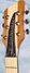Rickenbacker 650/6 Colorado, Mapleglo: Headstock