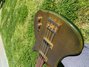 Rickenbacker 4004/4 Cii, Trans Green: Free image