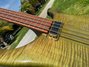 Rickenbacker 4004/4 Cii, Trans Green: Close up - Free2