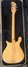 Rickenbacker 450/6 , Mapleglo: Full Instrument - Rear
