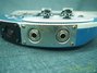 Rickenbacker 4001/4 Mod, Blue: Close up - Free